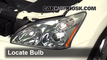 2006 Lexus RX400h 3.3L V6 Lights Headlight (replace bulb)